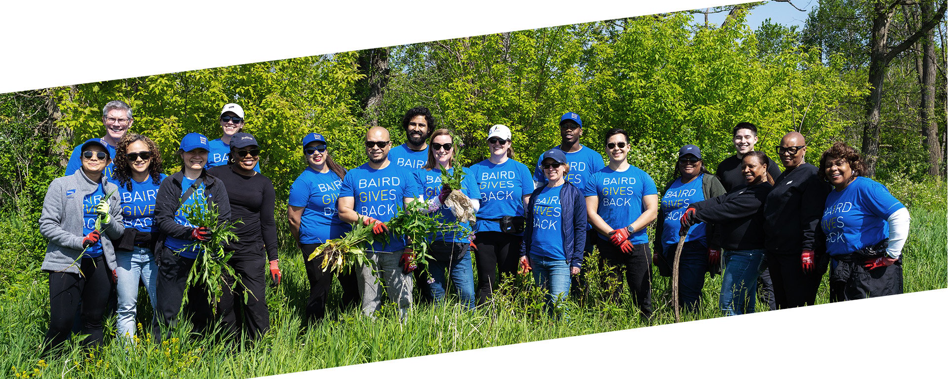 A group of SilverPeak Strategic Capital associates volunteering at a nature center